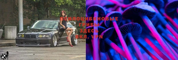 a pvp Козельск