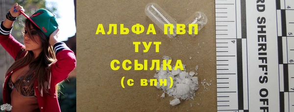 прущие грибы Козловка