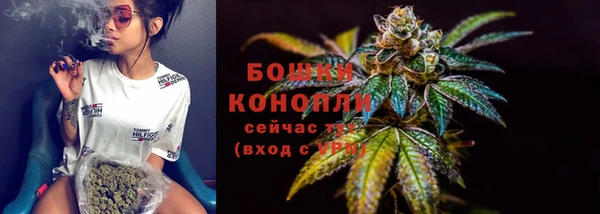 прущие грибы Козловка