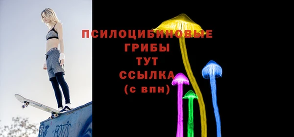 прущие грибы Козловка