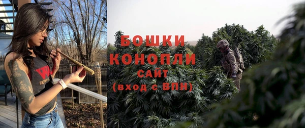 гашик Кодинск