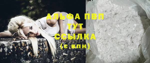 прущие грибы Козловка