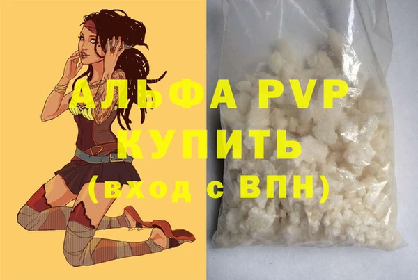 гашик Кодинск