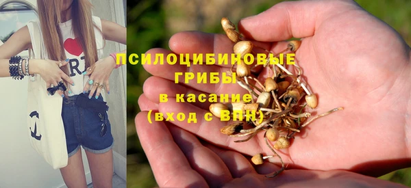 a pvp Козельск